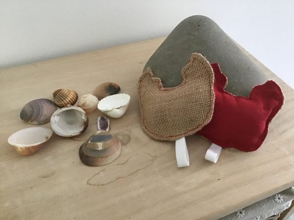 Éponges lavables crabe abrasif