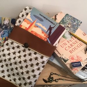 Pochette Insectes L